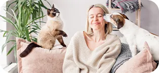 Alimentos perigosos para cães - OiPet