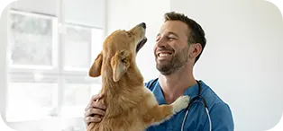 Brincadeiras para Pet - Oi Pet